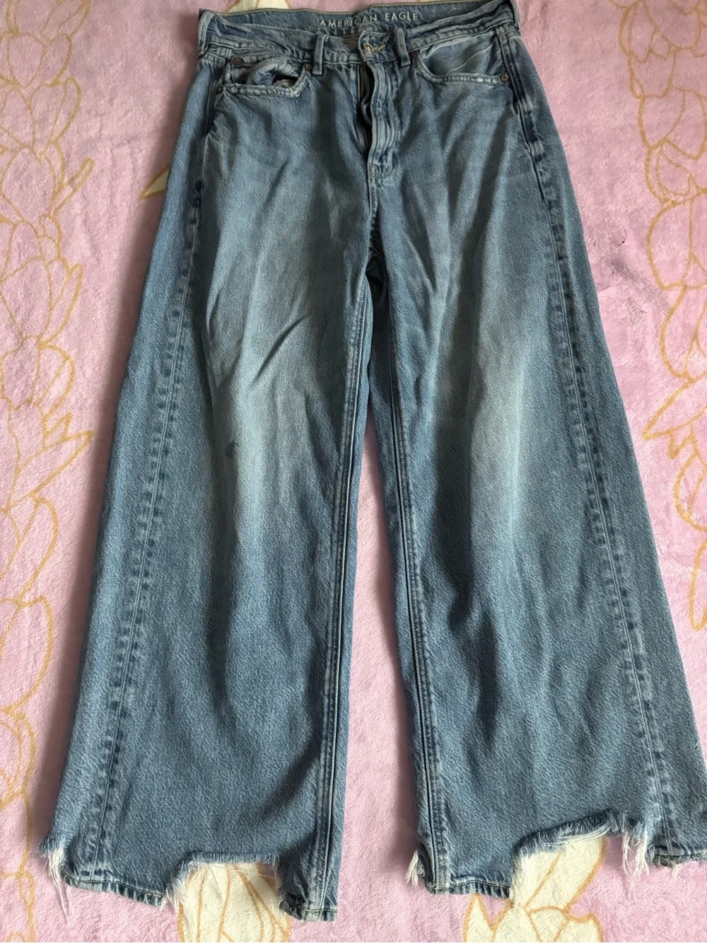 American Eagle Baggy Wide Leg